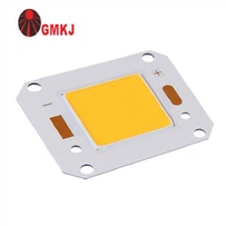 50W COB світлодіодні 4046 Супер яскравий 150LM / W